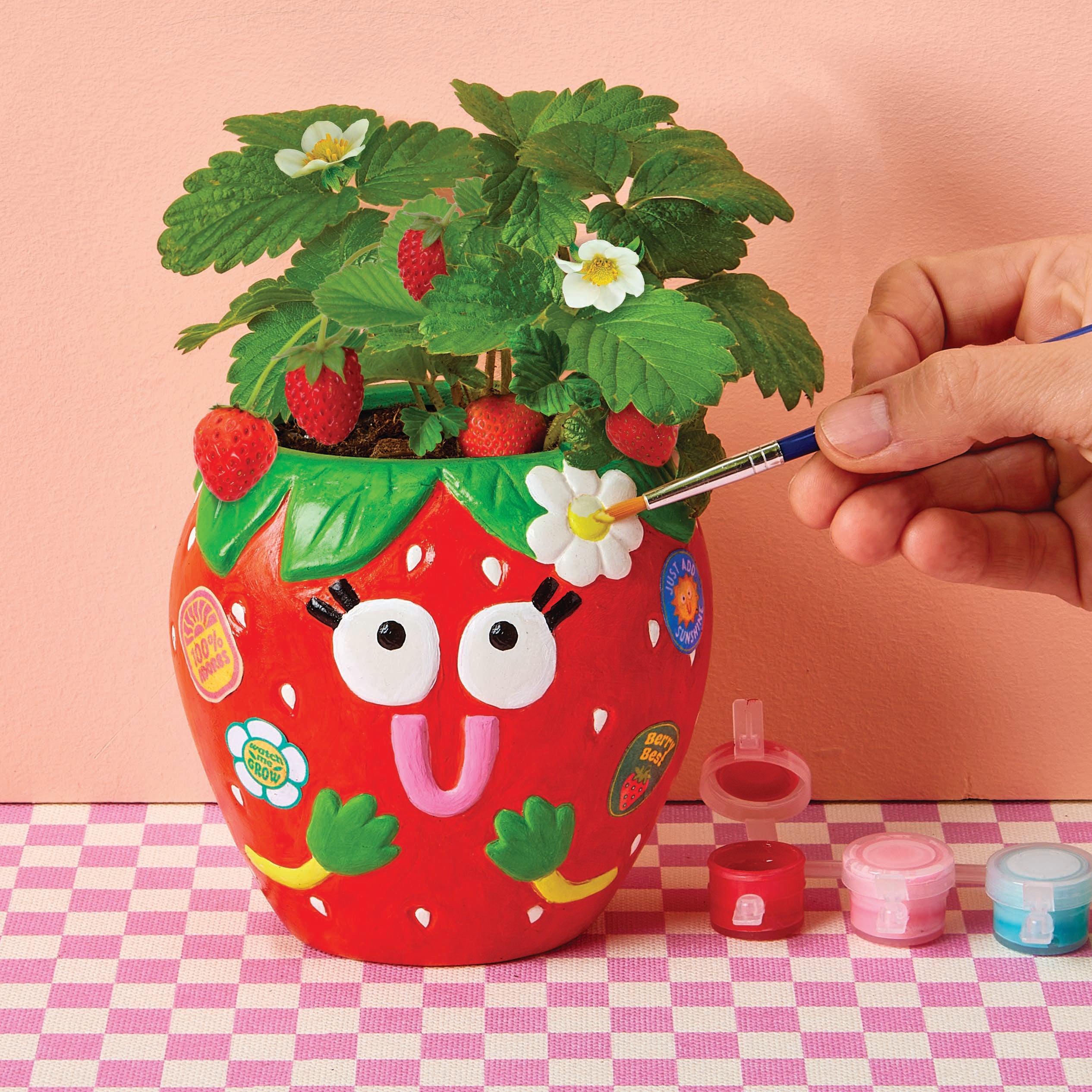 strawberry plant in pot Paint & Grow Strawberry – brightstripes