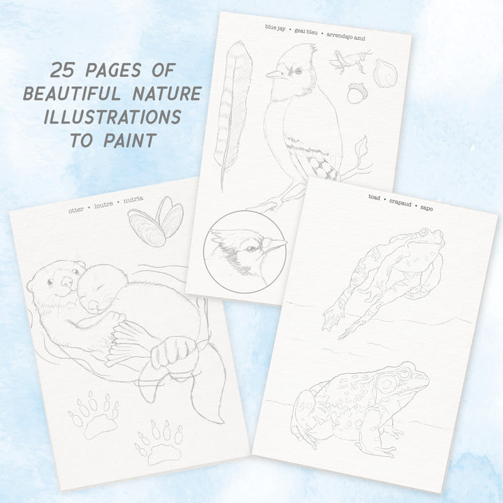 Watercolor Journal - Woodland Wildlife