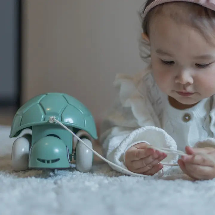 Re:line Pull-along Turtle