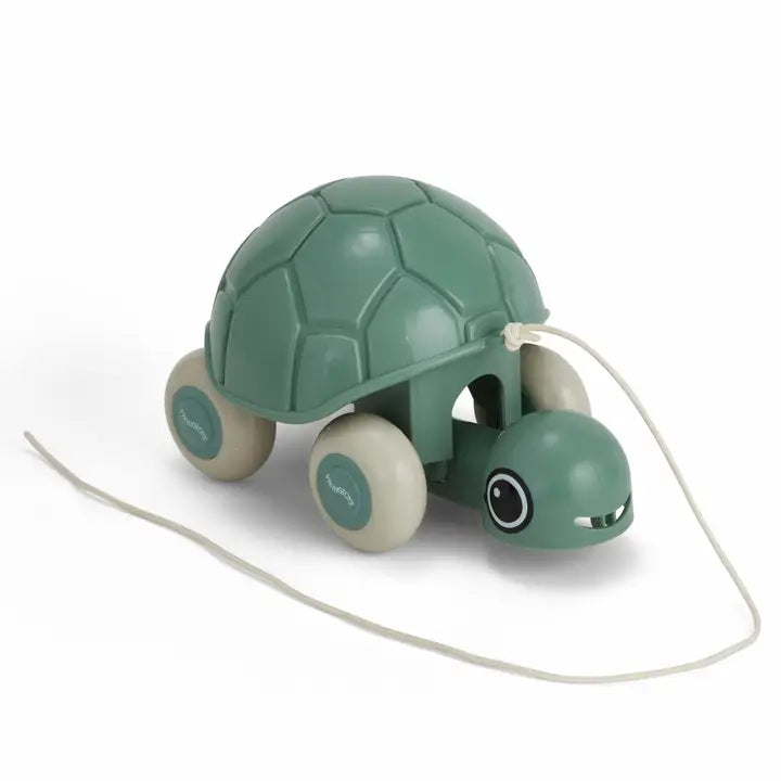 Re:line Pull-along Turtle