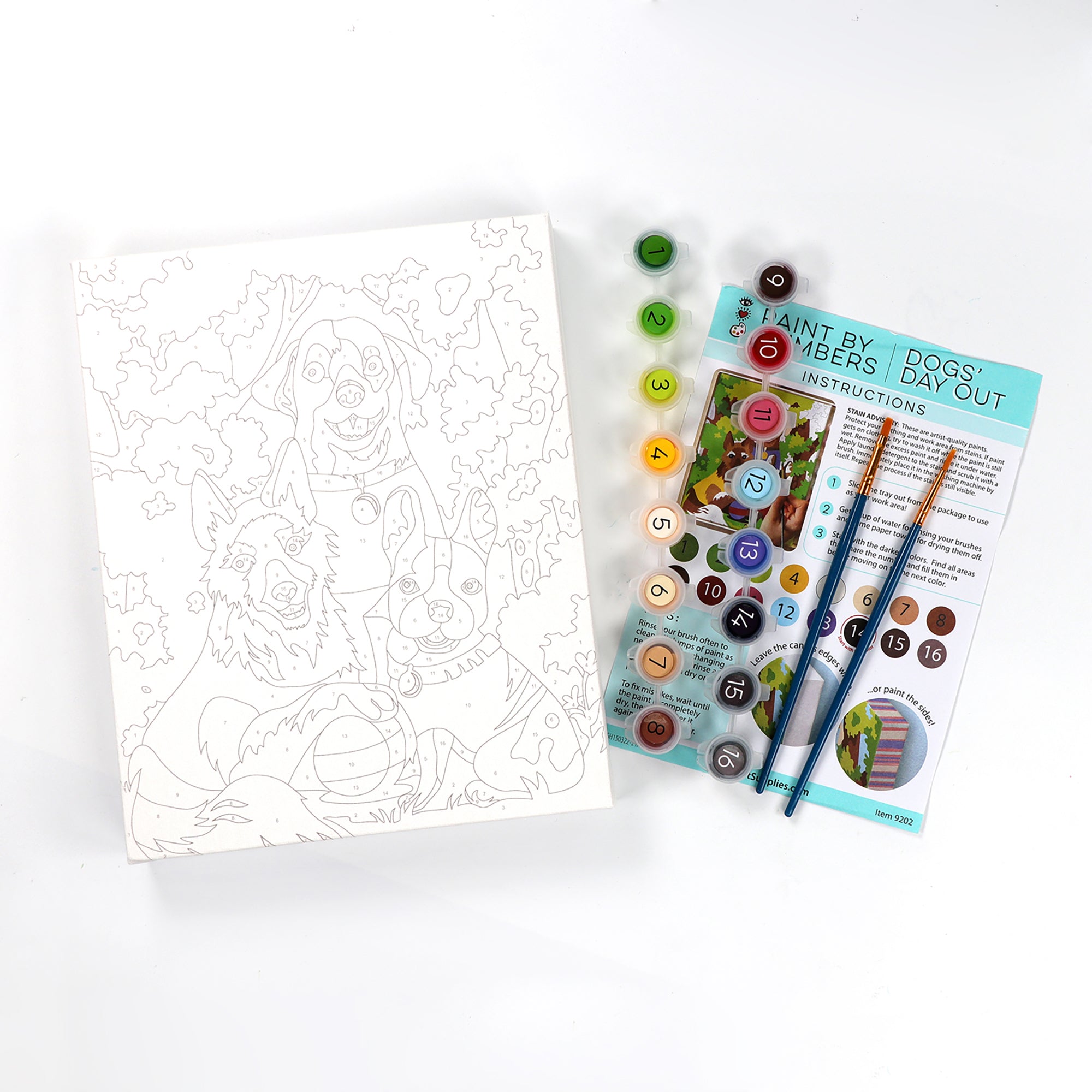 iHeartArt Paint by Numbers Butterflies + Blooms – brightstripes